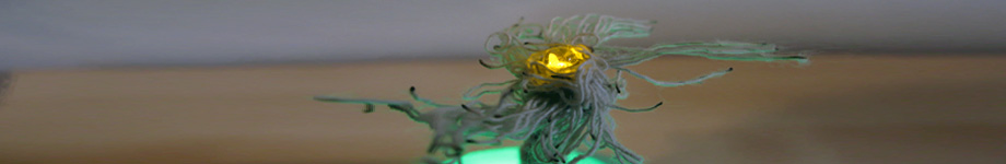 MaartenGeraets.nl Rotating Header Image